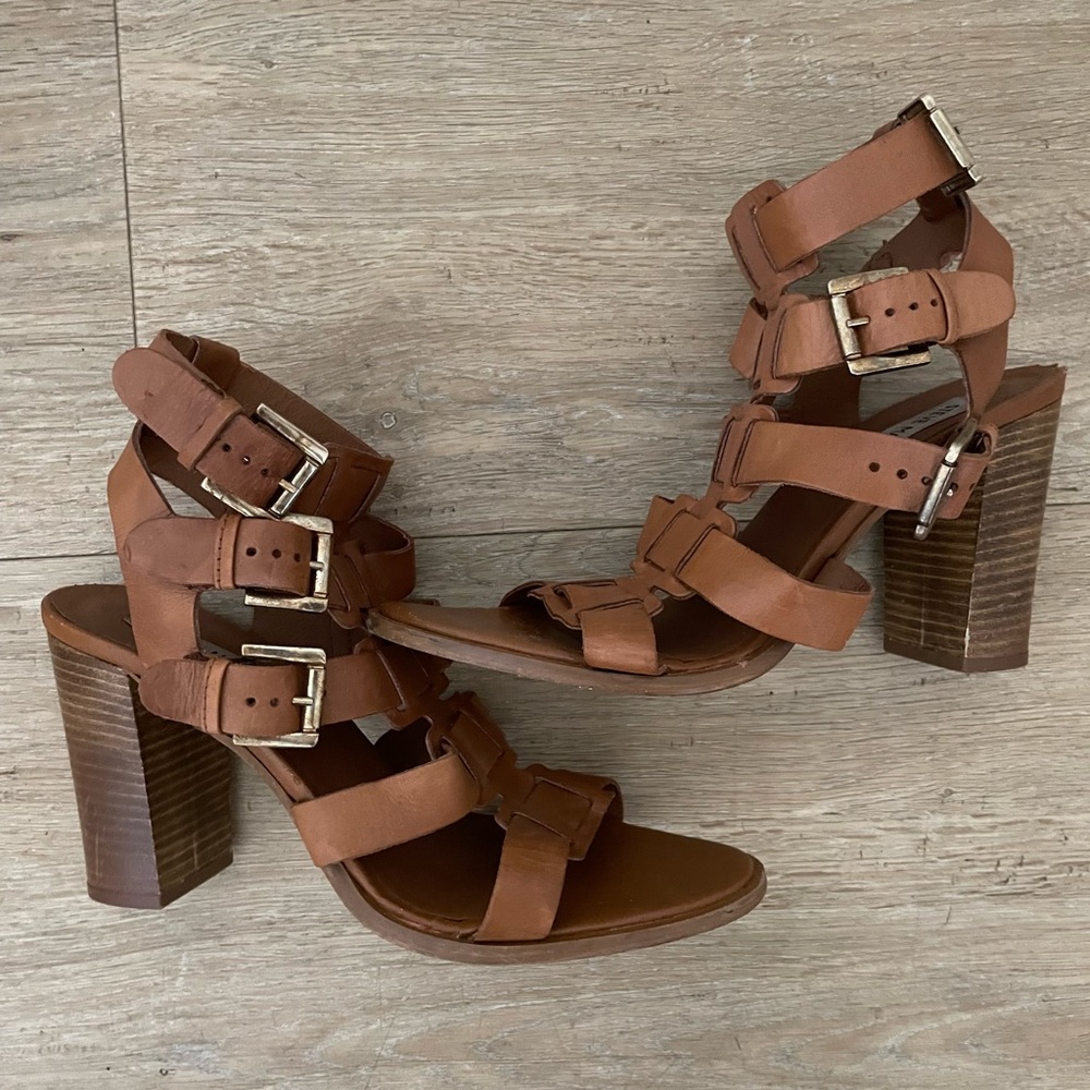 Steve Madden gladiator sandals